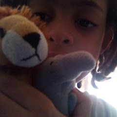 lion and elephant production's inc auttp
