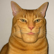 ViralAnimals