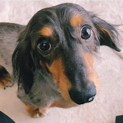 片目のネルと、珈琲屋のパパ。