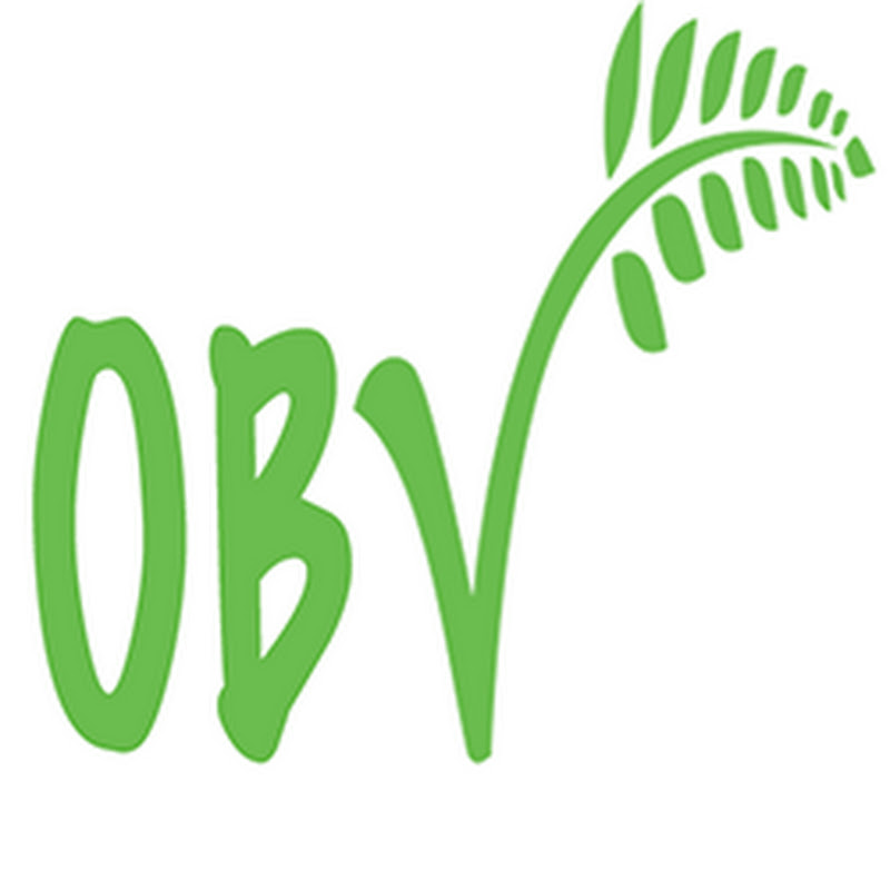 One Bite Vegan
