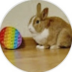 Мій кролик та ігри
