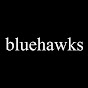 Bluehawks EduAbroad  logo