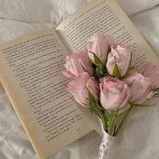ingresar texto