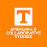 ph_nor-kVEg-channel-avatar-College of Emerging and Collaborative Studies