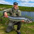 gOWuILJX2vU-channel-avatar-Wolfi’s Fishing Adventures 