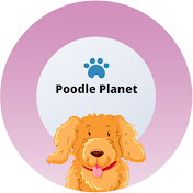 Poodle Planet