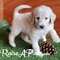 RaiseAPaw Puppies - @raiseapawpuppies5787 YouTube Profile Photo