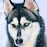 G9nRFR5otxw-channel-avatar-FoxxySphinx