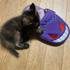 暇人てぃーけー【ポケモン】