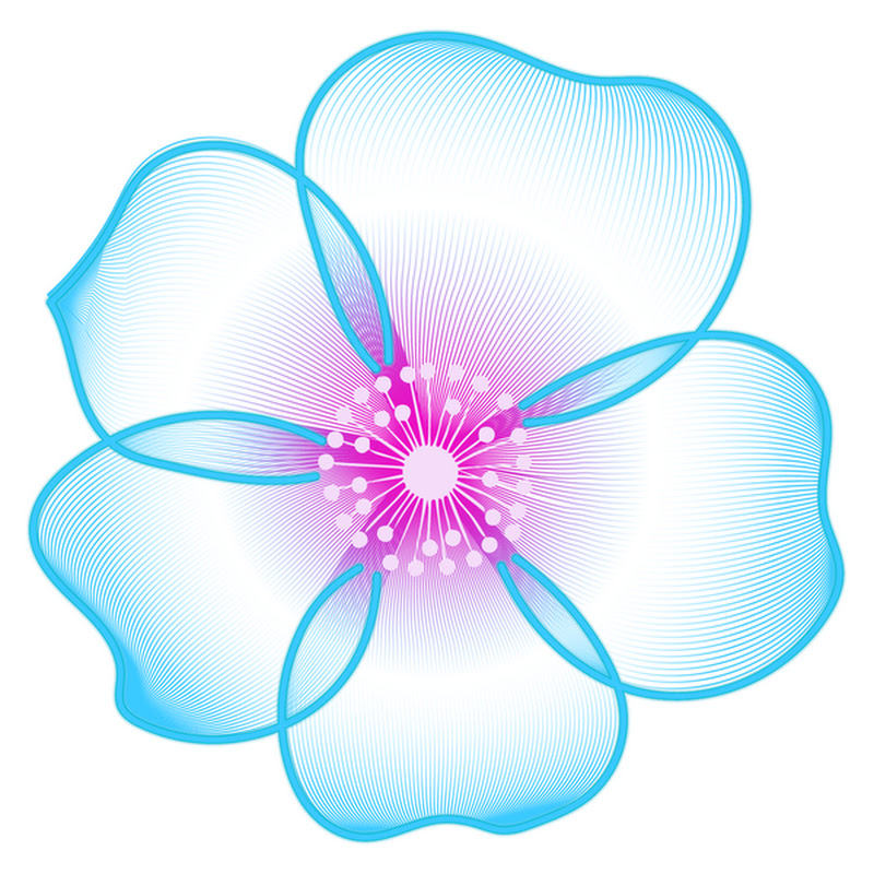 Lifespan Research Institute