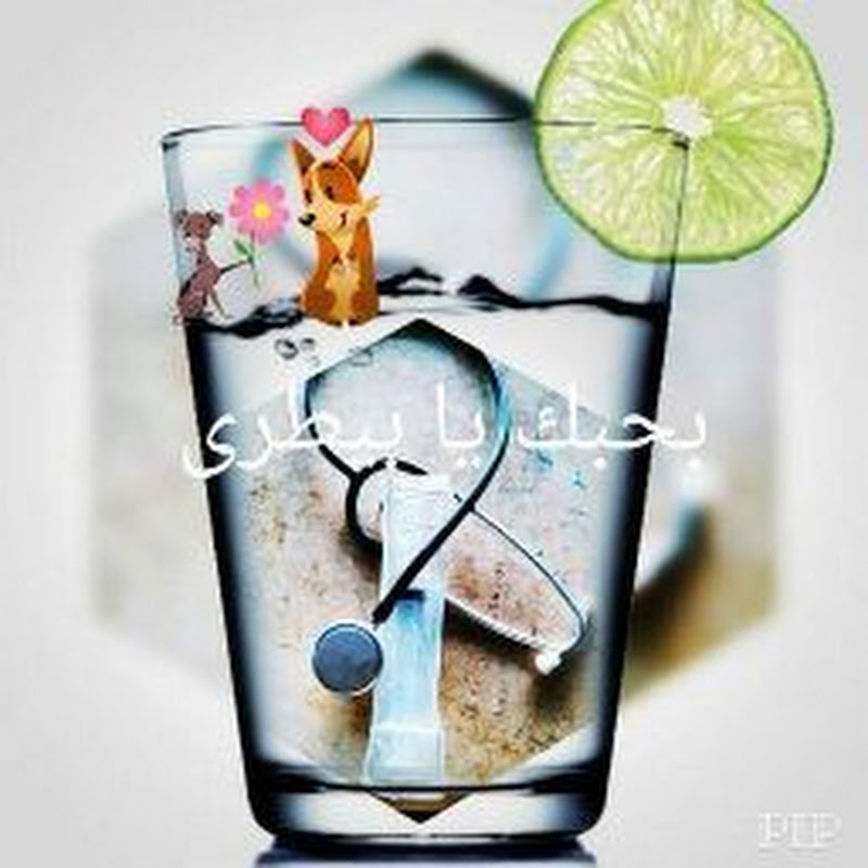 الدكتور بشير الشافعي