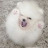 @Pk카우