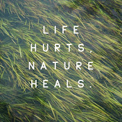 Healing words 