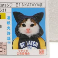 天童けいちゃんねる