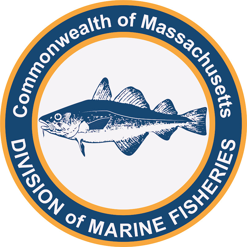 MA MarineFisheries