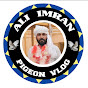 ALI IMRAN PIGEONS VLOG - @ALI-IMRAN-PIGEONS - Youtube