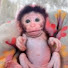 90ytN2D2hVE-channel-avatar-Monkey TP