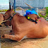 9dm29NWs2Ko-channel-avatar-Dhana Agriculture 