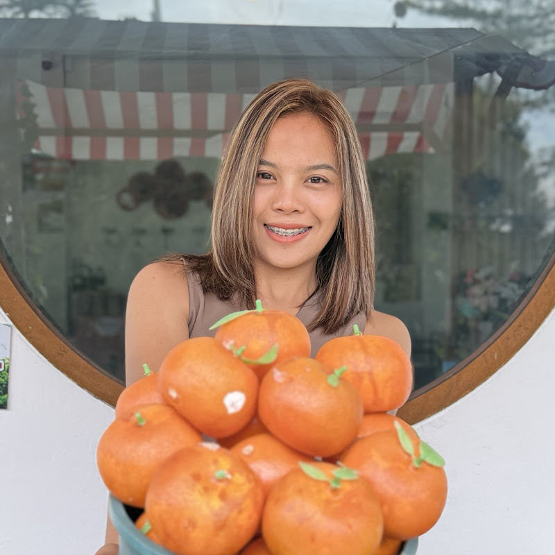 เบียร์ ปัณฑารีย์