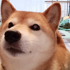 モカ