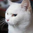 BymJOc7QJXg-channel-avatar-@yiuman72