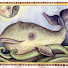 haw9hFL9JyU-channel-avatar-Funghi di Sardegna