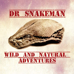 - DR. SNAKE - José Luis Ugalde