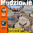 QcXakwG3hPE-channel-avatar-Žurnalas Medžioklė