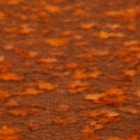 Ernest Hakobyan  profile image