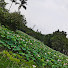 fzMg_1SzC0g-channel-avatar-ธรรมะสบายตา สบายใจ