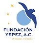 Tortugas Fundación Yepez A.C. logo