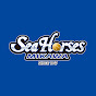 シーホース三河 -Seahorses Mikawa-
