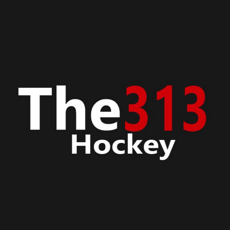 313 Hockey