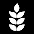 mFLTSrTvcnE-channel-avatar-Calvary Chapel Tri-Cities