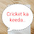@cricketkakeeda...2899