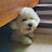 @몽실이-k3h
