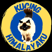 Kucing himalayaku official