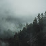 0huNP0BNbr4-channel-avatar-Голос Тайги and Мистическая Тайга