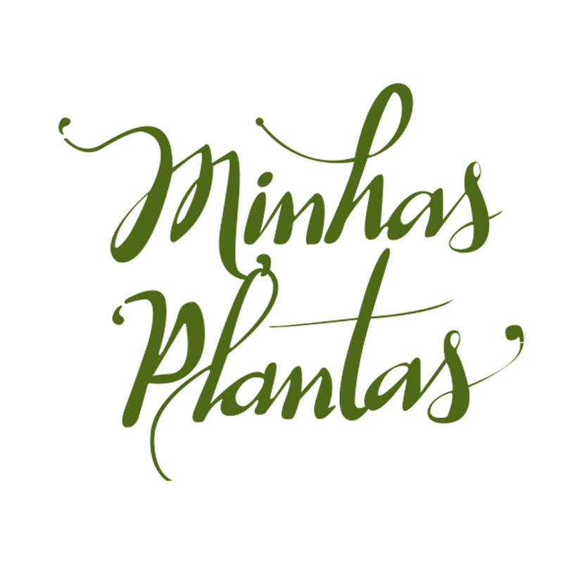 Minhas Plantas