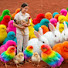 _iCkQCv_8uc-channel-avatar-Ayam Funny