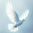 @infinitePeace-g6i