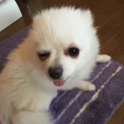 変人チャンネル