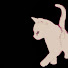 es--FcjTL0c-channel-avatar-babyblxxm:3