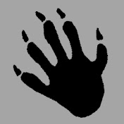 Raccoon Thumbs