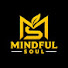 I3i0X52sbsQ-channel-avatar-Mindful Soul 
