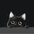L6BTRKzcNsI-channel-avatar-The Purrfect House