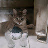 Автор
