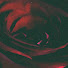 i_ZxSIkKQZ4-channel-avatar-GLORY TO BEHOLD