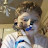 @Maria_Bo202wantstohelpout