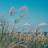 @MJ-jh3fe